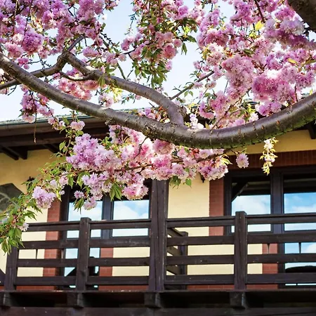 El Greco 4* Rožnov pod Radhoštěm